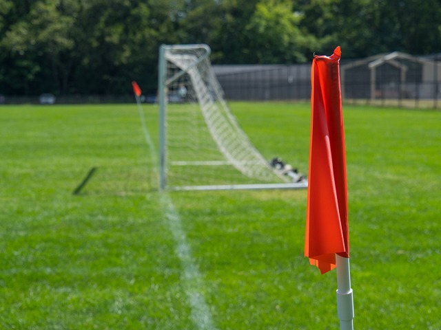 文胖：在雄鹿裁掉利拉德后，字母哥对雄鹿感到非常失望