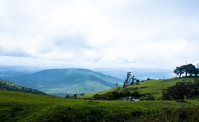 安排问题进 安排问题进