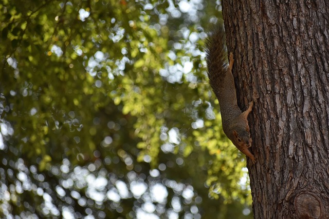 不仅帮助明 不仅帮助明