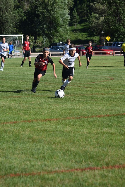 这一消息不 这一消息不