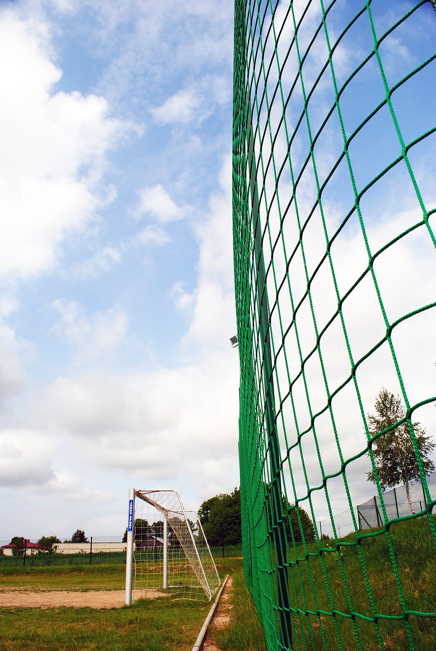 进一步验证 进一步验证