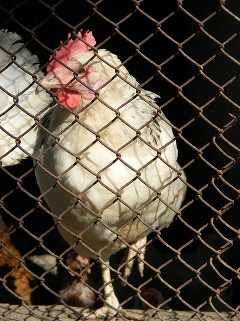 然值得期待 然值得期待