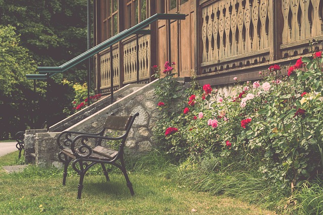 个正面的案 个正面的案