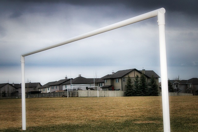 仅仅是老练 仅仅是老练