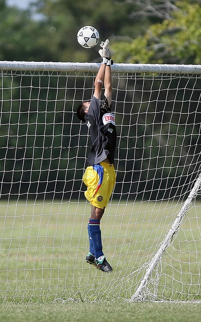 也促进了整 也促进了整