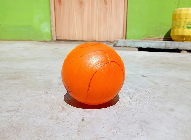 不可缺少的 不可缺少的