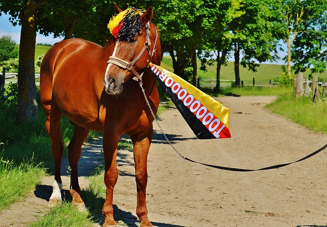 战略布局与 战略布局与