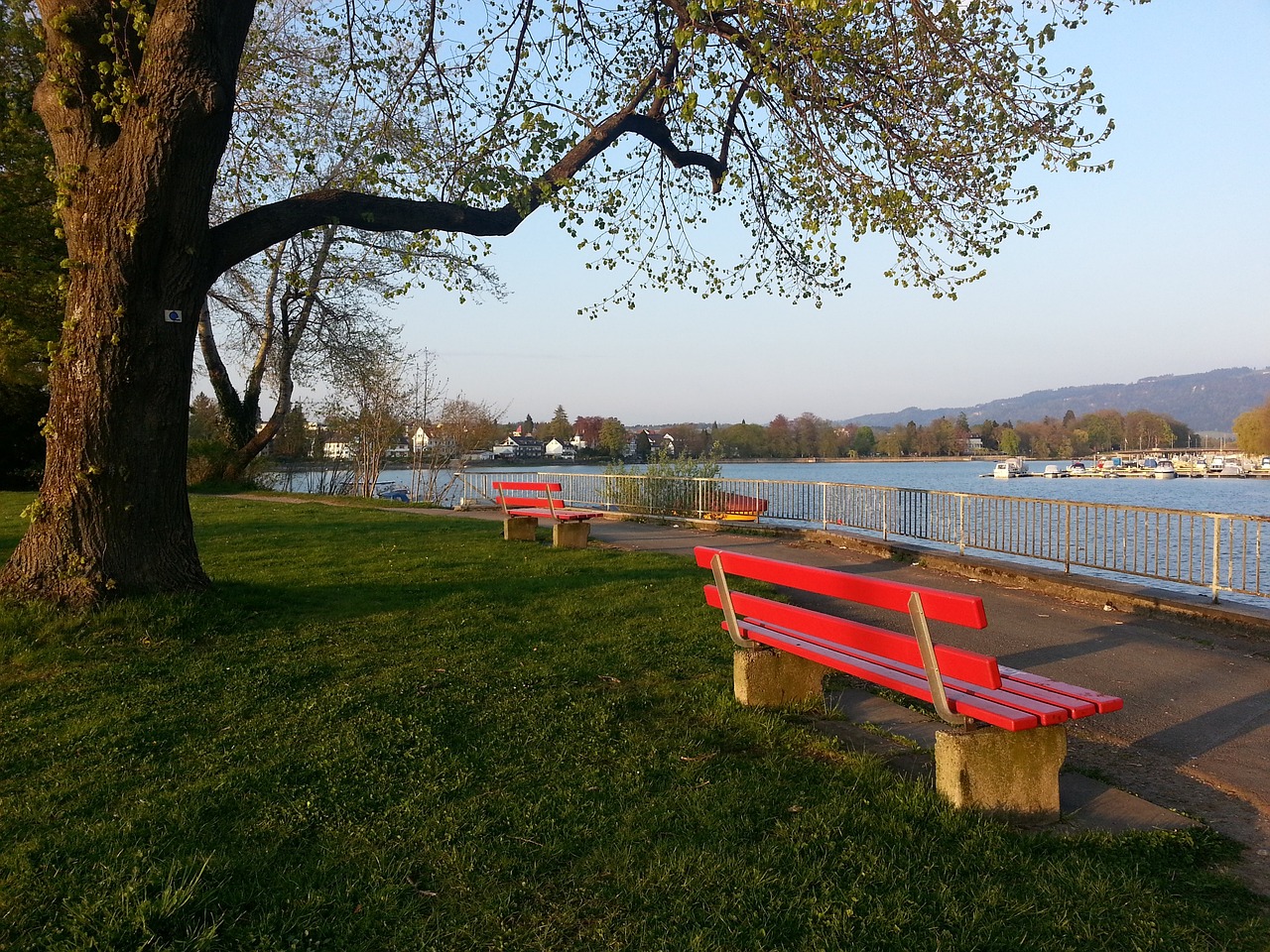 效率与代价 效率与代价