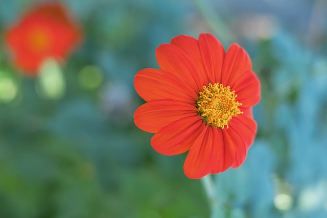 对方防线 对方防线