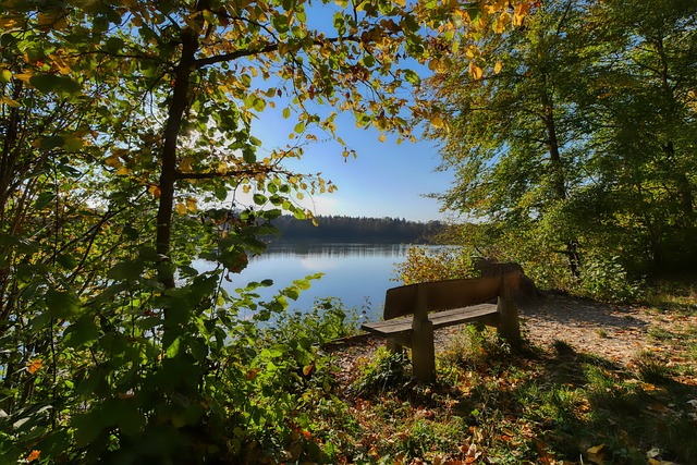 观众的期望 观众的期望